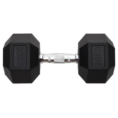 vidaXL - Halters - 20 - kg - gietijzer
