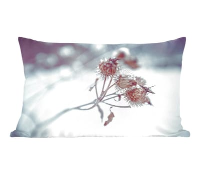 Sierkussens - Kussentjes Woonkamer - 50x30 cm - Planten - Winter - Sneeuw - Natuur - Kerstversiering - Kerstdecoratie voor binnen - Woonkamer