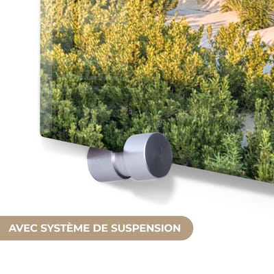 MuchoWow® Glasschilderij 120x80 cm - Schilderij acrylglas - Strand - Planten - Licht - Foto op glas - Muurdecoratie woonkamer - Wanddecoratie slaapkamer - Schilderijen