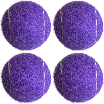 Tennisballen Set voor Beginners Oefenen en Training (4 Stuks)