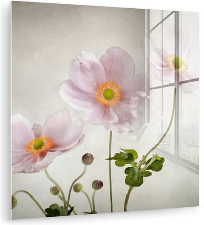 MuchoWow® Glasschilderij 90x90 cm - Schilderij acrylglas - Bloemen - Stilleven - Olieverf - Klaproos - Roze - Foto op glas - Muurdecoratie woonkamer - Wanddecoratie slaapkamer - Schilderijen