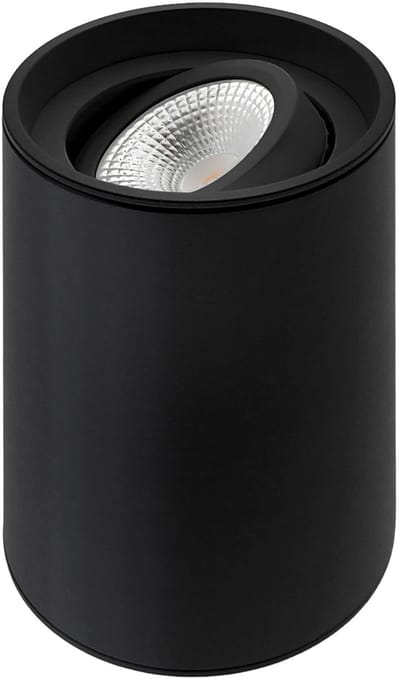 ETH Viggo Opbouwspot rond kantelbaar 51mm Zwart D80xH115mm + GU10 fitting