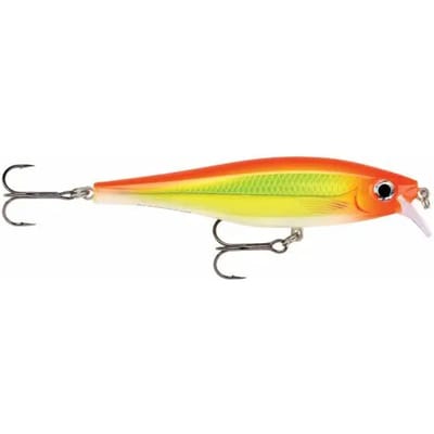 Lure Rapala bx minnow 10 cm