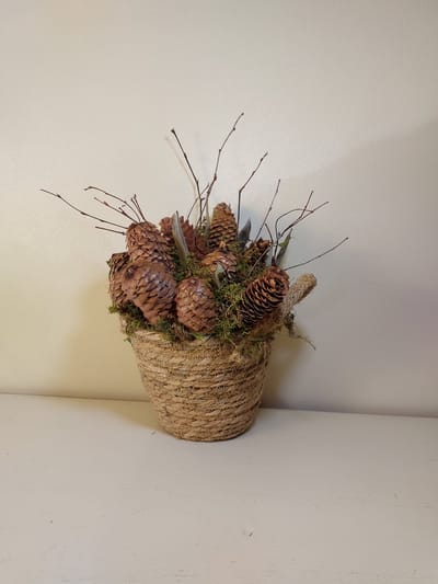 Mand met dennenappels & mos