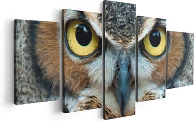 Artaza Canvas Schilderij Vijfluik Uil Kop Met Gouden Ogen - 100x50 cm - Wanddecoratie Woonkamer - Schilderijen - Muurdecoratie