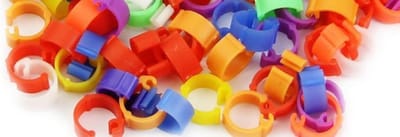 HQD - Vogel ringen - Click optie - 50 stuks - 8 MM - 10 kleuren