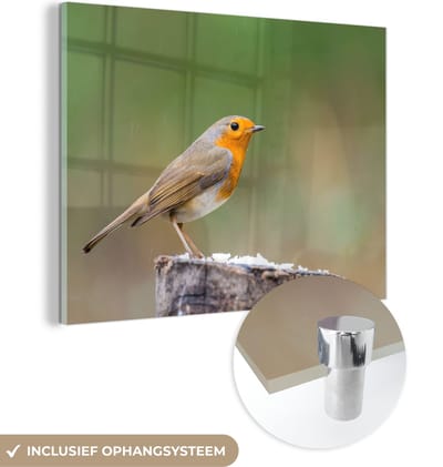 MuchoWow® Glasschilderij 40x30 cm - Schilderij acrylglas - Dieren - Vogel - Roodborstje - Foto op glas - Schilderijen
