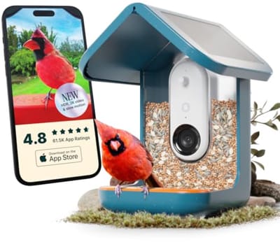 Slimme Vogelvoederautomaat op Zonne-energie met Camera - AI Vogelsoortenidentificatie en HD Videostream