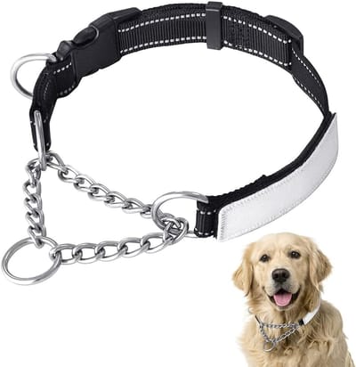 Hondenhalsband Reflecterend Nylon met Naamplaatje - Verstelbare Martingale Trainingshalsband