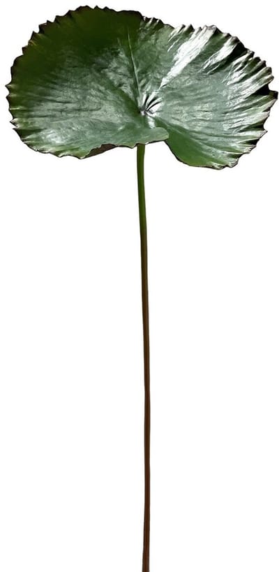 Kunsttak lotusblad 80cm
