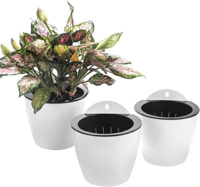 SnelShoppen - Set van 3 hangende plantenbakken, zelfbewaterend, verticale wandmontage, kunststof, voor binnen en buiten, decoratie voor keuken en woon