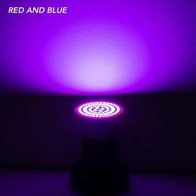Mundo® - Hoogwaardige groeilamp met 80 LEDS (E27 grote fitting) - bloeilamp - kweeklamp - grow light - growlight - groeilicht - kweekbak - kweekkas
