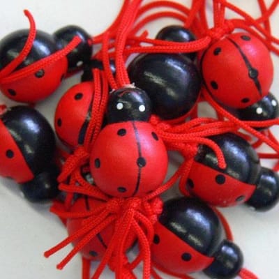 100x Geluks Lieveheersbeestje | Gelukspoppetjes