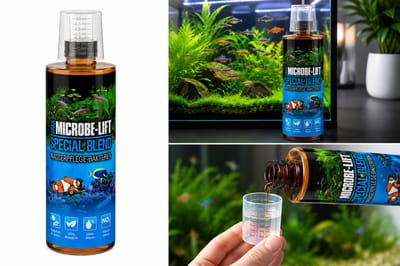 ARKA Special Blend 473 ml | Levende Bacteriën voor Aquarium | Zoet- en Zeewater | Waterverzorging