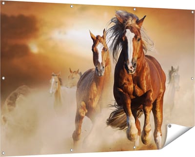 Gards Tuinposter Wilde Paarden in het Zand - 150x100 cm - Tuindoek - Tuindecoratie - Wanddecoratie buiten - Tuinschilderij