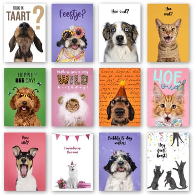 Greetz - Verjaardag Kaartenset - Wenskaarten (12x) Inclusief Enveloppen