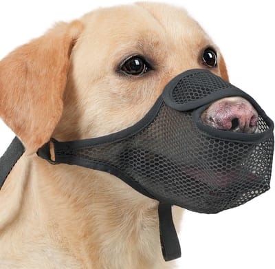Honden muilkorf - Zacht ademend muilkorfsnet - Voorkomt bijten, kauwen en eten - Geschikt voor kleine, middelgrote en grote honden - Met vooropening om te drinken - Zwart - Maat M - 1 stuk