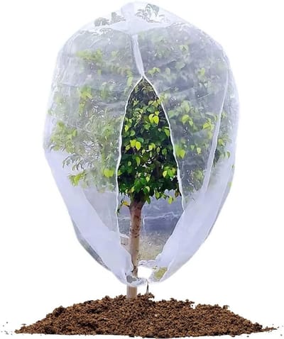 Beschermnet voor fruitbomen met rits en trekkoord, 2 m x 2,44 m, ademend, scheurvast en insectenwerend voor optimale plantbescherming