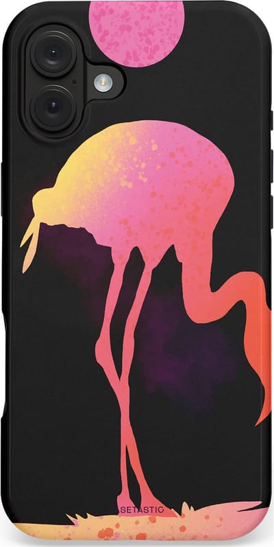 Casetastic hoesje geschikt voor Apple iPhone 16 Plus - MagSafe - Dubbellaagse bescherming - Silhouet Flamingo - Fashion Case - Zwart Koraal Perzik