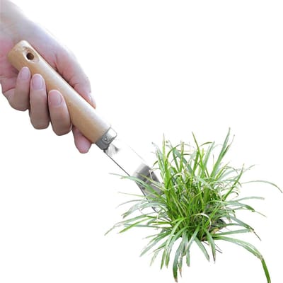Onkruidjager Staal - Wortelverwijderaar Gazon - Tuinonderhoud Vereenvoudigen - Ergonomisch Ontwerp - 27 cm Lengte - Metaal