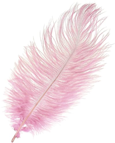 Struisvogelveren Echte Veren Decoratie Roze 20-25cm 12 st, 12 Stück