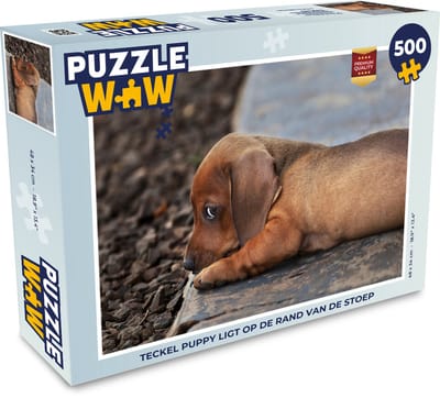 Puzzel Teckel puppy ligt op de rand van de stoep - Legpuzzel - Puzzel 500 stukjes