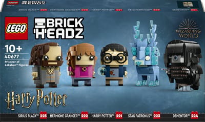 LEGO Harry Potter 40677, Bouwpakket, 10 jaar, Kunststof, 697 stuk(s), 687 g