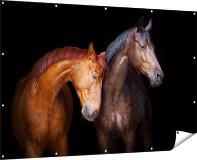 Gards Tuinposter Twee Bruine Paarden Koppel - Liefde - 180x120 cm - Tuindoek - Tuindecoratie - Wanddecoratie buiten - Tuinschilderij