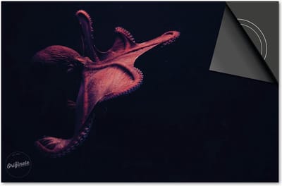 Inductie beschermer 60x60 - afdekplaat inductie mat - Dietrix Kookplaat beschermer - Exclusief - Under the Sea - Octopus