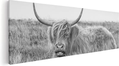 Artaza Canvas Schilderij Hooglander - 60x20 cm - Muurdecoratie Grasveld - Wanddecoratie Woonkamer - Kamer Accessoires