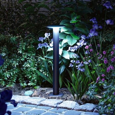 LED-bolderlamp Smart Home Zigbee 3.0 Plate IP44 cilindrisch 600 mm RGBW+ 5W 200lm 230V Antraciet Metaal, Kunststof