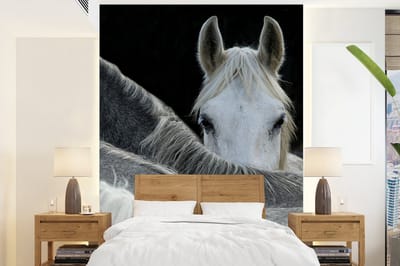 Behang - Fotobehang Paarden - Dieren - Zwart - Wit - Breedte 165 cm x hoogte 220 cm