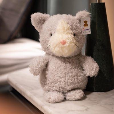 Kleine Dierpop Krachtige Pluche Speelgoed Poppen voor Kinderen Grijpautomaat Poppen Bruiloft Poppen 20cm