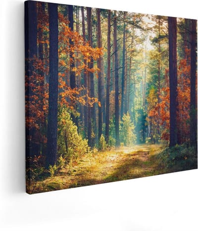 Artaza Canvas Schilderij Bos - 100x80 cm - Groot - Wanddecoratie Herfst - Muurdecoratie Landschap - Schilderijen Op Canvas Natuur