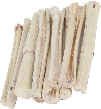 Dailygoods- Molar Sticks - Gezonde Snack - Bamboe - Voor Kleine Huisdieren - Rijk aan Vezels - 165 g, 24 Maanden Houdbaarheid