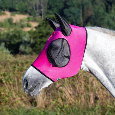 Vliegenmasker met oorbeschermers voor paarden USG