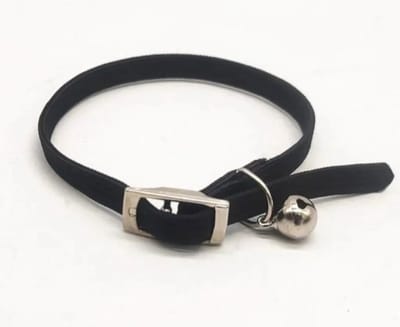 Elastische kattenband met belletje Zwart | Veilig anti-verstikking | Verstelbaar kitten tot volwassen | Comfortabel | Vogelvriendelijk