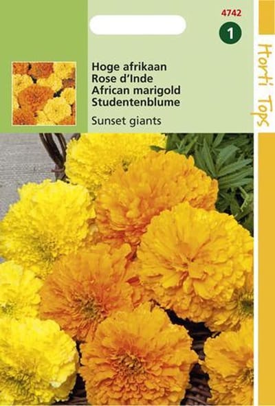 Hortitops Zaden - Tagetes Erecta Sunset Giants Gem.