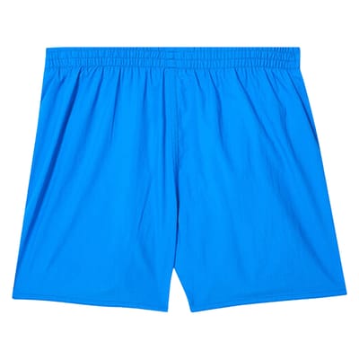 Speedo Jongens Essential 13 Zwemshort (Blauw)