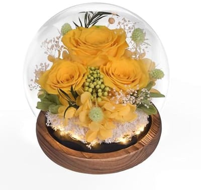 Geconserveerde rozen in glas met licht - Forever bloemen als perfect cadeau voor bijzondere gelegenheden