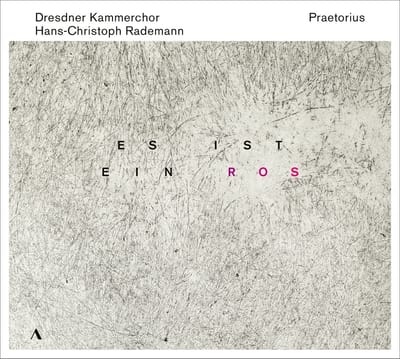 Dresdner Kammerchor, Hans-Christoph Rademann - Praetorius: Es Ist Ein Ros (CD)