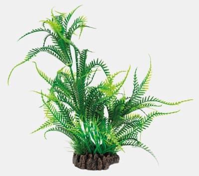 Superfish Art plant Microsorium XL