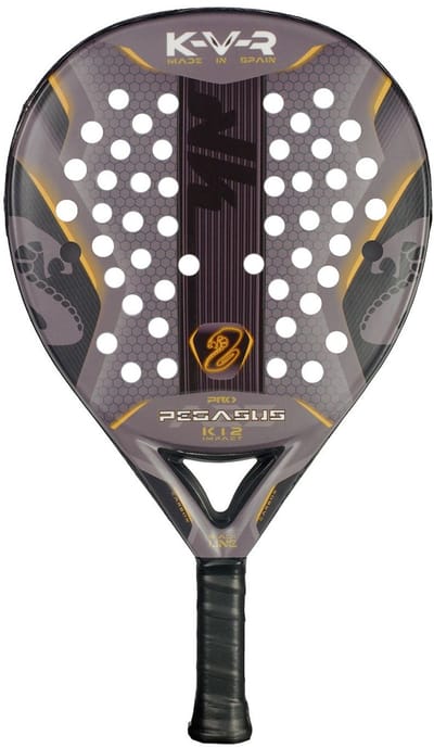 Akkeron Black Pegasus Pro