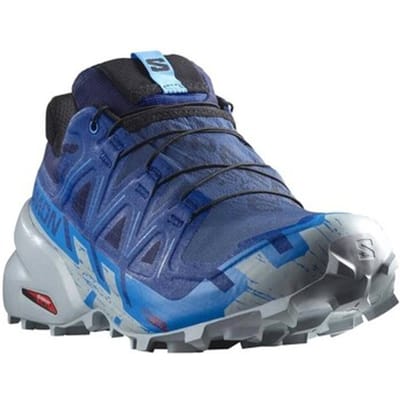 Hardloopschoenen Salomon Speedcross 6 Gtx