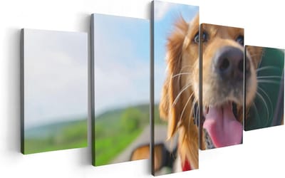 Artaza Canvas Schilderij Vijfluik Golden Retriever Hond Uit Een Auto Raam - 100x50 - Foto Op Canvas - Canvas Print