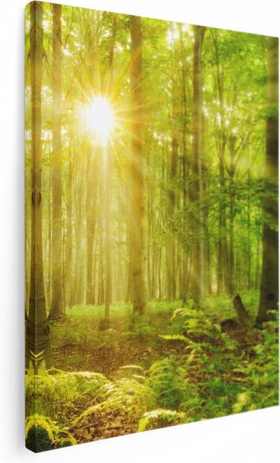 Artaza Canvas Schilderij Zonnestralen Bos - 30x40 cm - Klein - Wanddecoratie Woonkamer - Muurdecoratie Boom - Kamer Accessoires Natuur