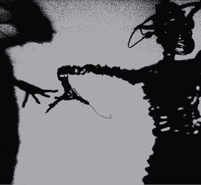 Twilight Singers - Dynamite Steps (CD)