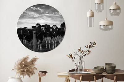 WallCircle® Wandcirkel 120x120 cm - Muurcirkel Inductie beschermer - Koeien - Boerderij - Inductie mat - Muurdecoratie woonkamer - Wanddecoratie slaapkamer - Kamer decoratie accessoires - Ronde schilderijen XXL