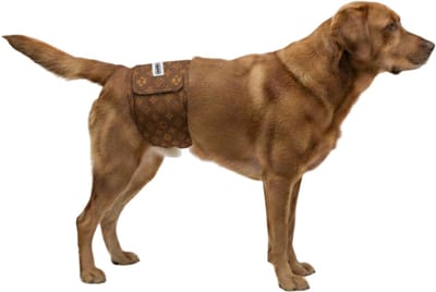 Hondenluier XL bruin monogram bruin - Voor grote honden - Bij incontinentie en markerins gedrag - Wasbaar - Verstelbaar 64-86 cm