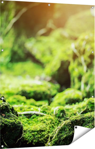 Gards Tuinposter Groen Mos Bedekt over Stenen - 90x120 cm - Tuindoek - Tuindecoratie - Wanddecoratie buiten - Tuinschilderij